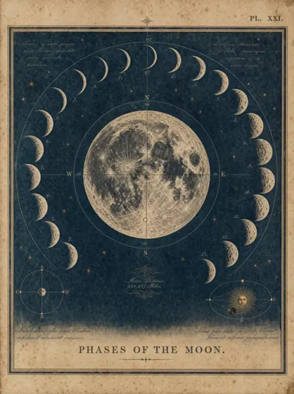 Moon Phases — vintage art print from The Astronomer's Atlas